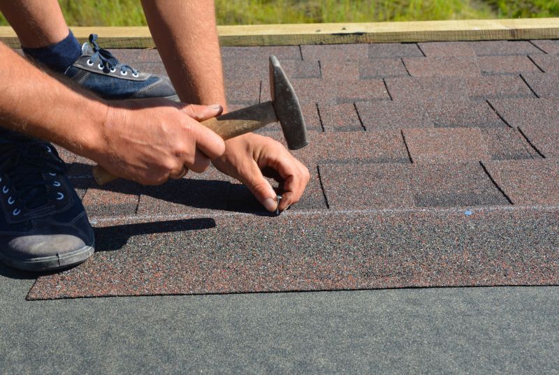 Asphalt Shingle Repair Professional