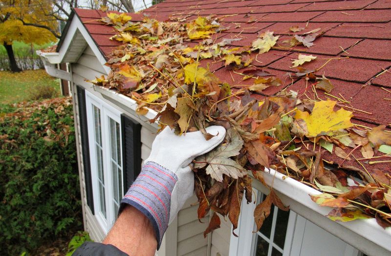 Fall Roof Maintenance